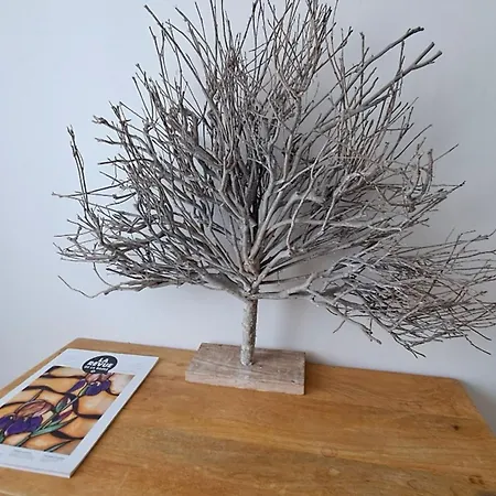 Lovely 32 Square Metre Next To The *