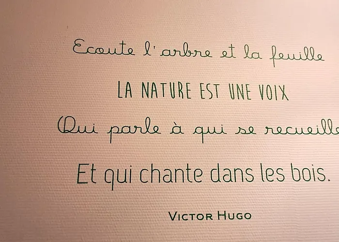 Lovely 32 Square Metre Next To The דירה